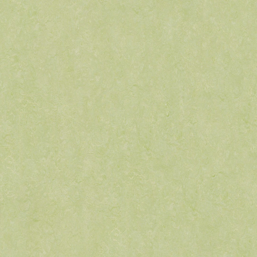 Forbo Marmoleum Real 6.5' x 105' Smooth Vinyl Sheet