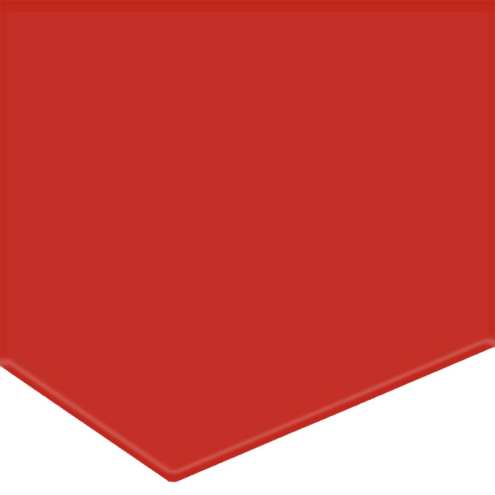 Armstrong Premium Excelon Feature II - 2" x 24" Smooth Vinyl Strip