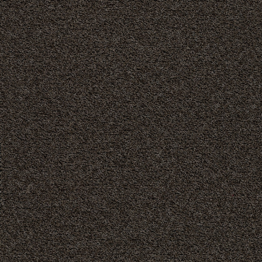 Forbo Coral Brush 20' x 6' Econyl & Polyamide Mat