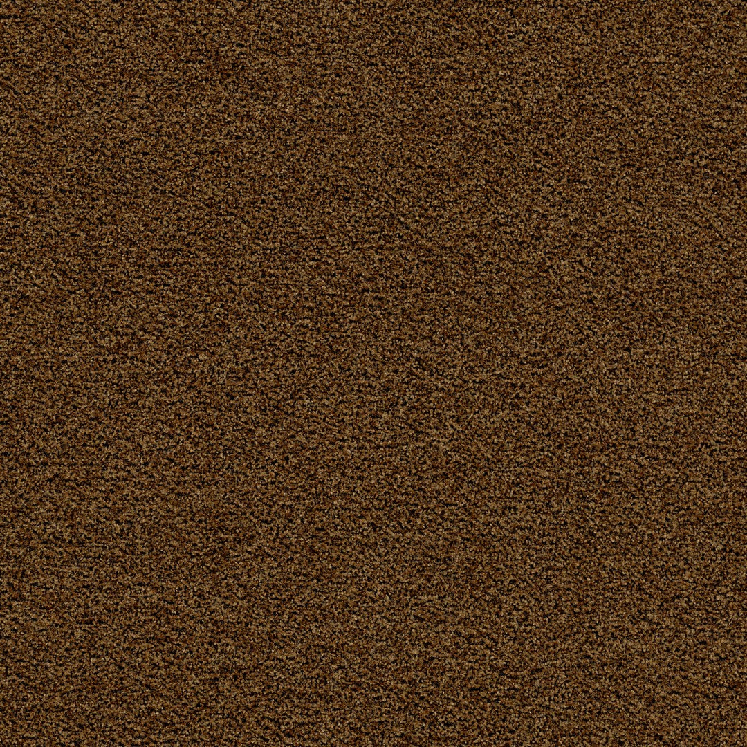 Forbo Coral Brush 19.69" x 19.69" Econyl & Polyamide Square Tile