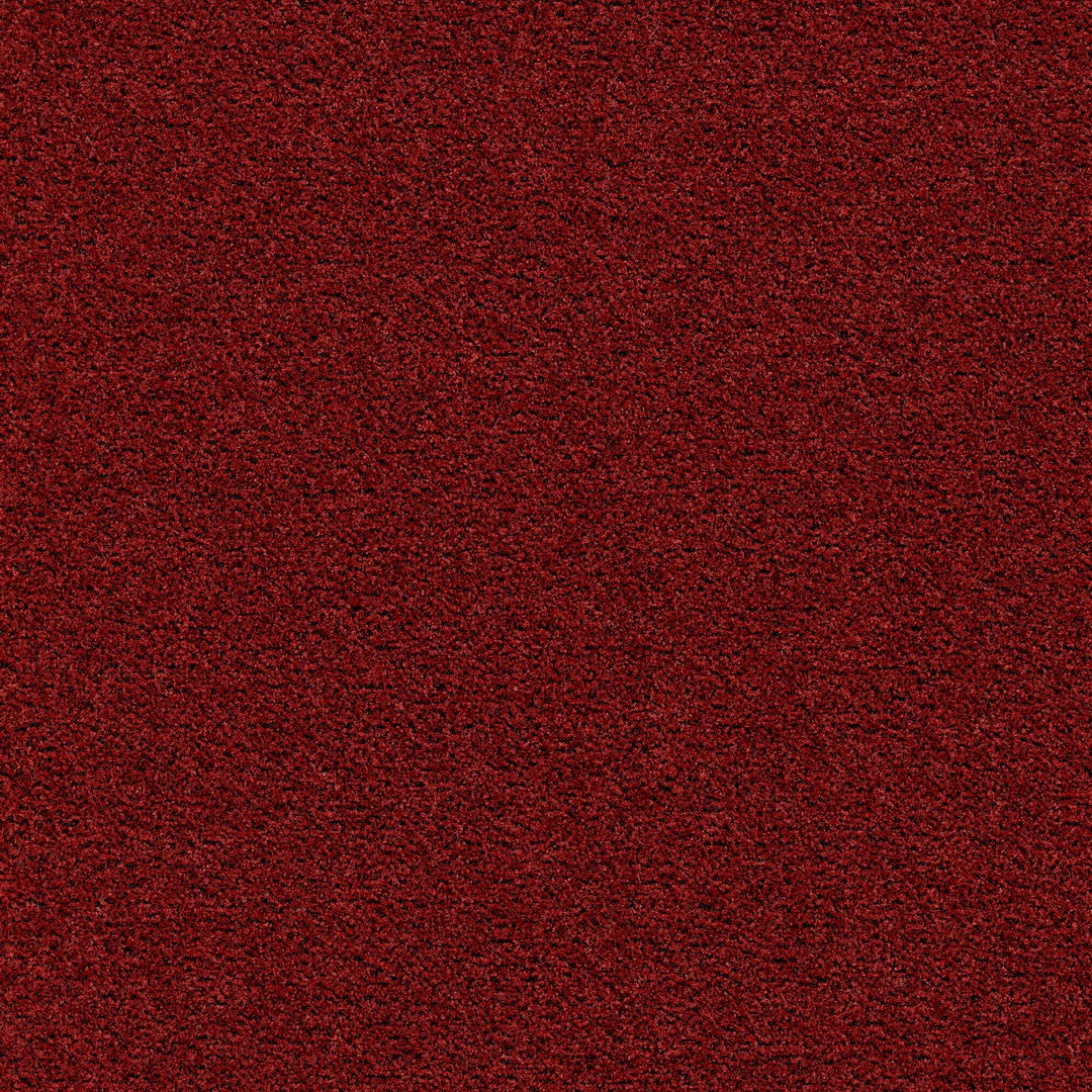 Forbo Coral Brush 10' x 6' Econyl & Polyamide Mat