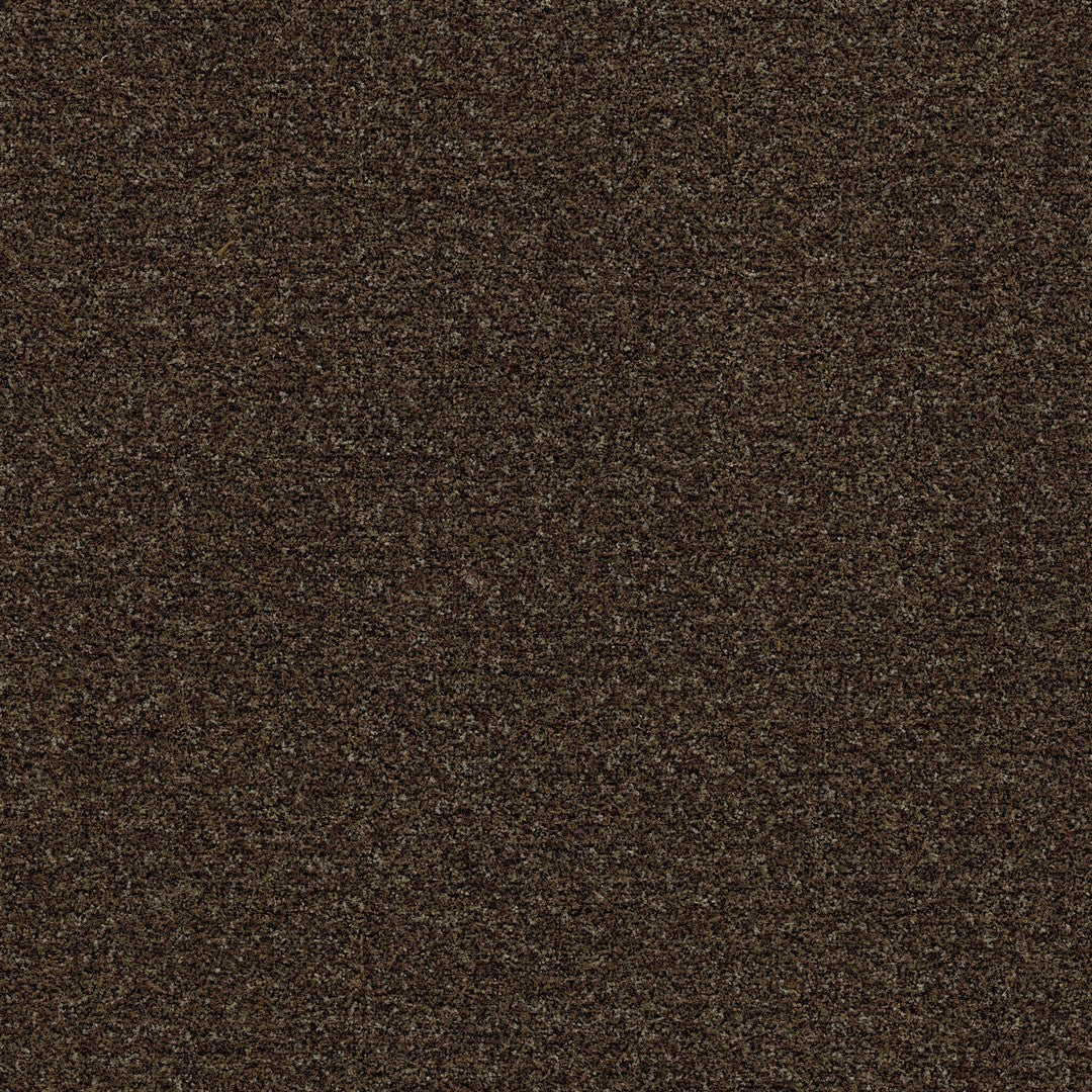 Forbo Coral Brush 6' x 4' Econyl & Polyamide Mat