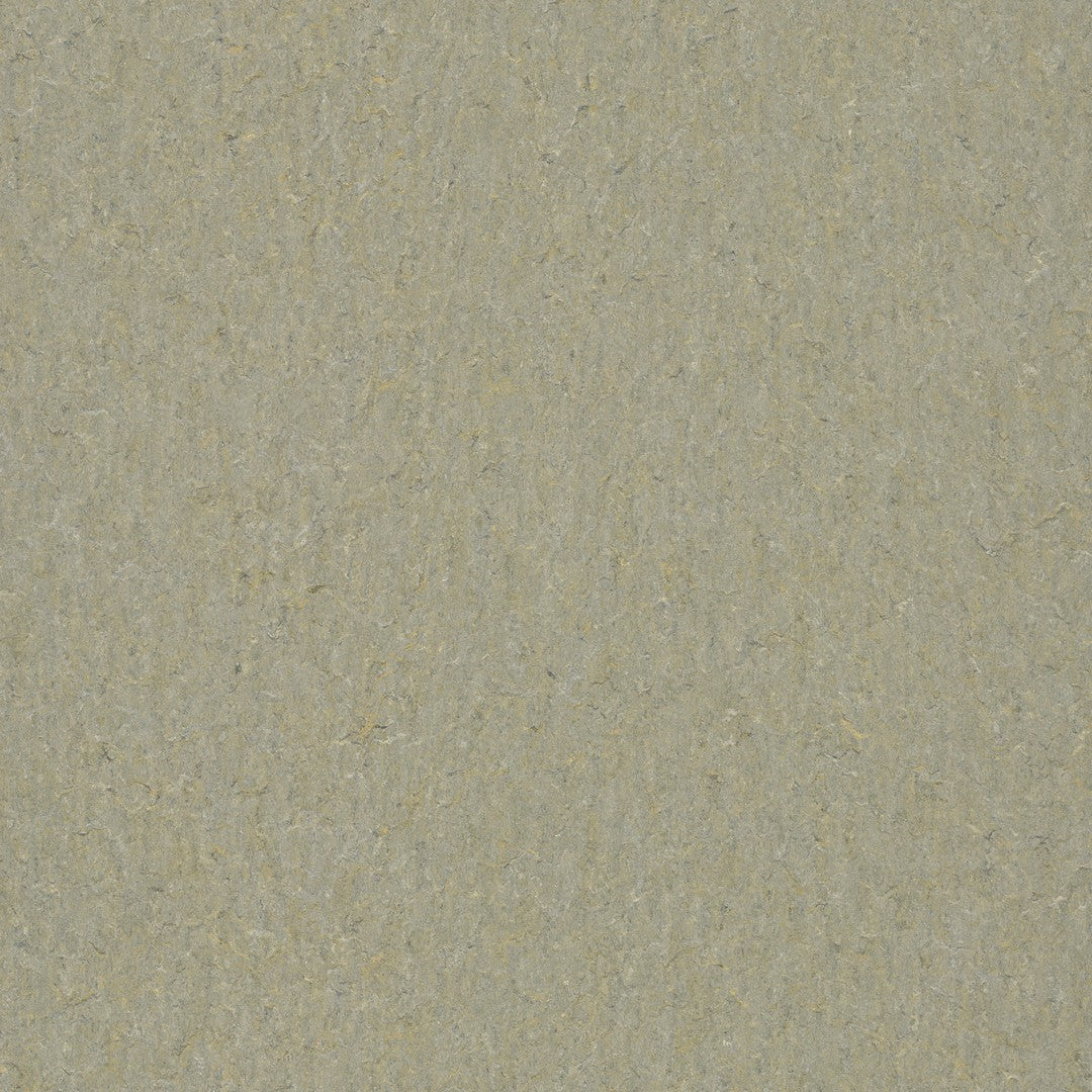 Forbo Marmoleum Terra 6.5' x 105' Smooth Vinyl Sheet