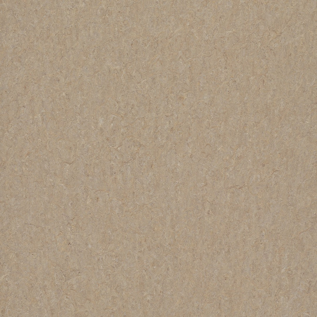 Forbo Marmoleum Terra 6.5' x 105' Smooth Vinyl Sheet