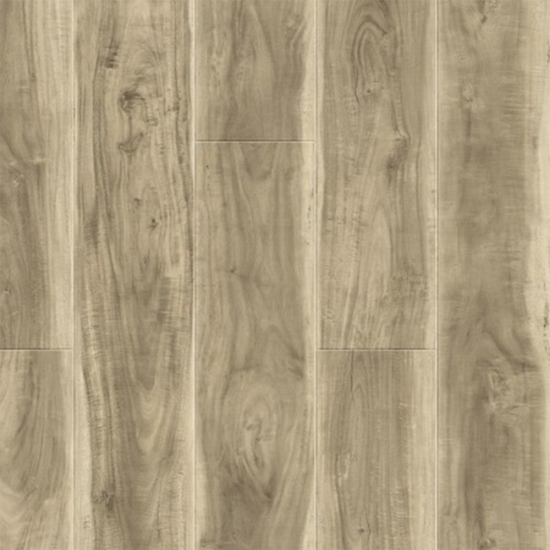 Bella Kingston 7" x 48" SPC Luxury Vinyl Plank 12mil