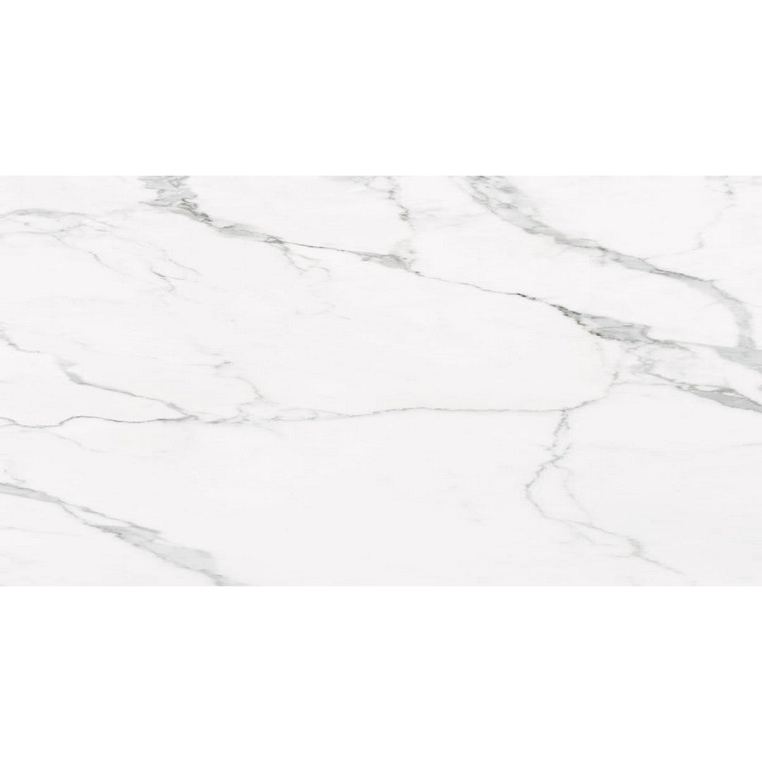 Happy Floors Statuario 24" x 48" Rectified Natural Porcelain Tile