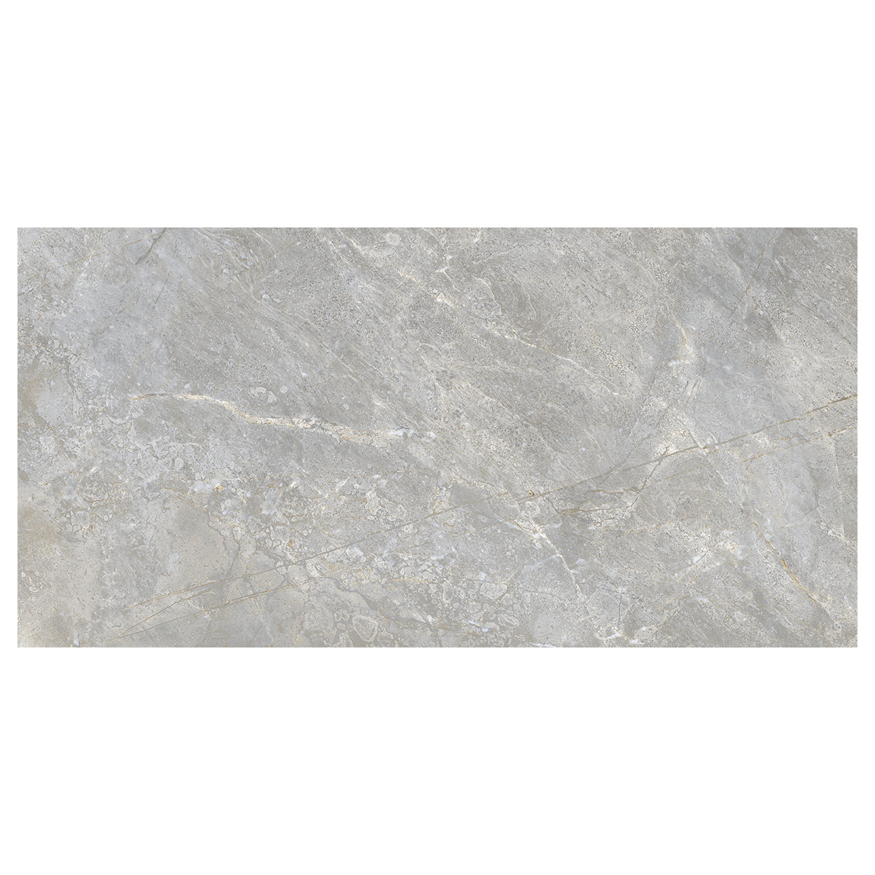 Del Conca USA Nature 24" x 48" Rectified Glazed Porcelain Tile