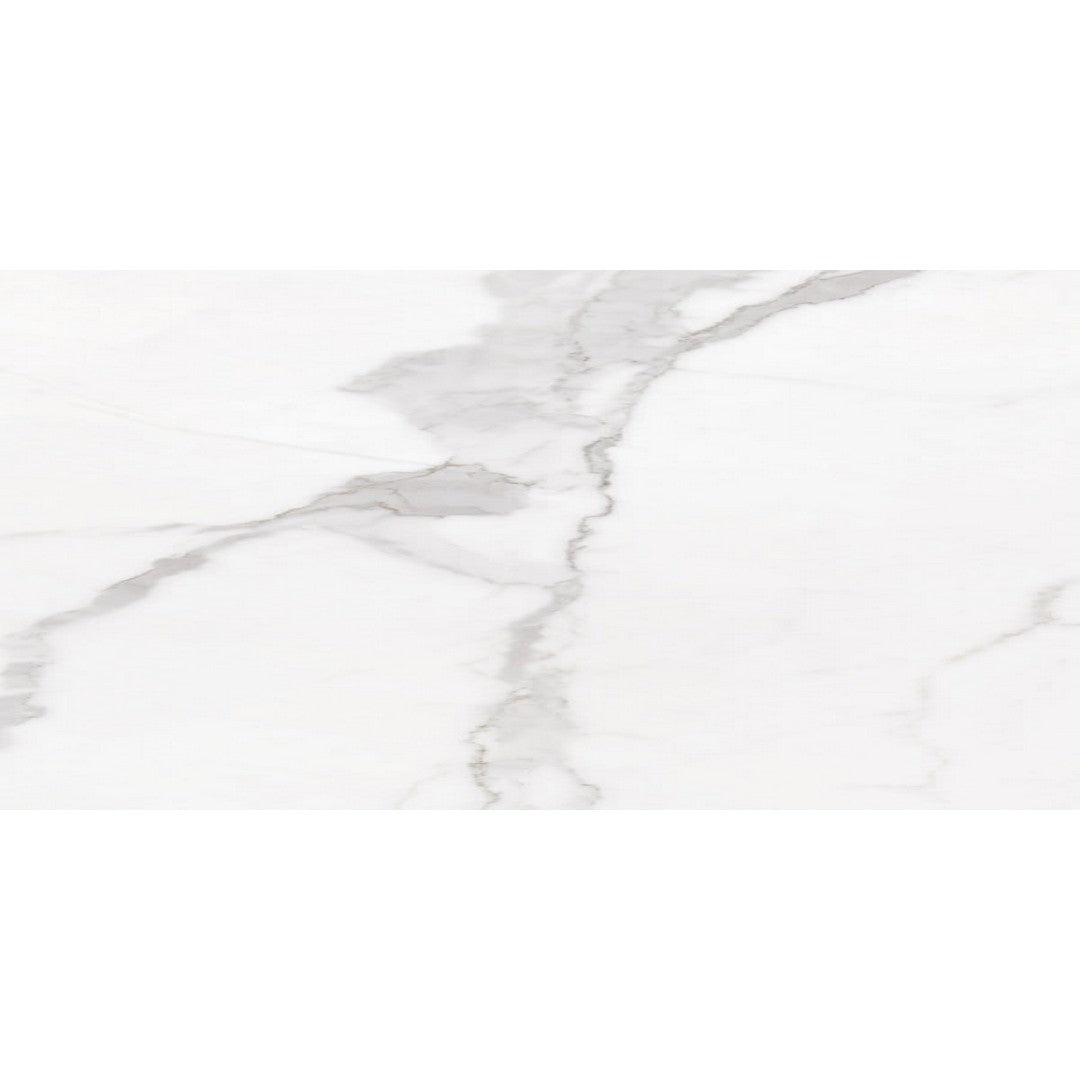 Happy Floors Statuario Luxe 24" x 48" Rectified Polished Porcelain Tile
