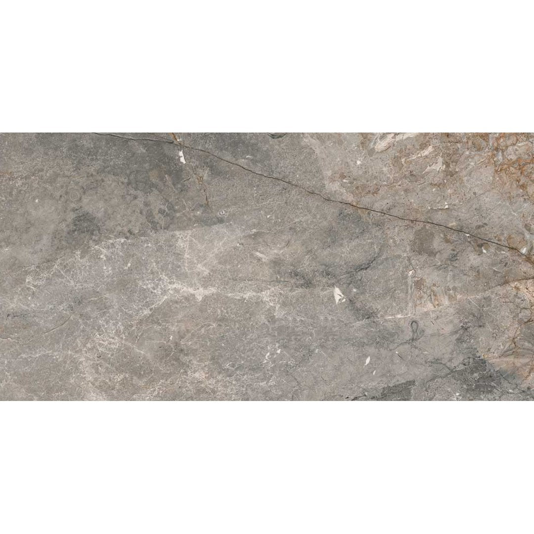 Happy Floors Toscana 12" x 24" Rectified Matte Porcelain Tile