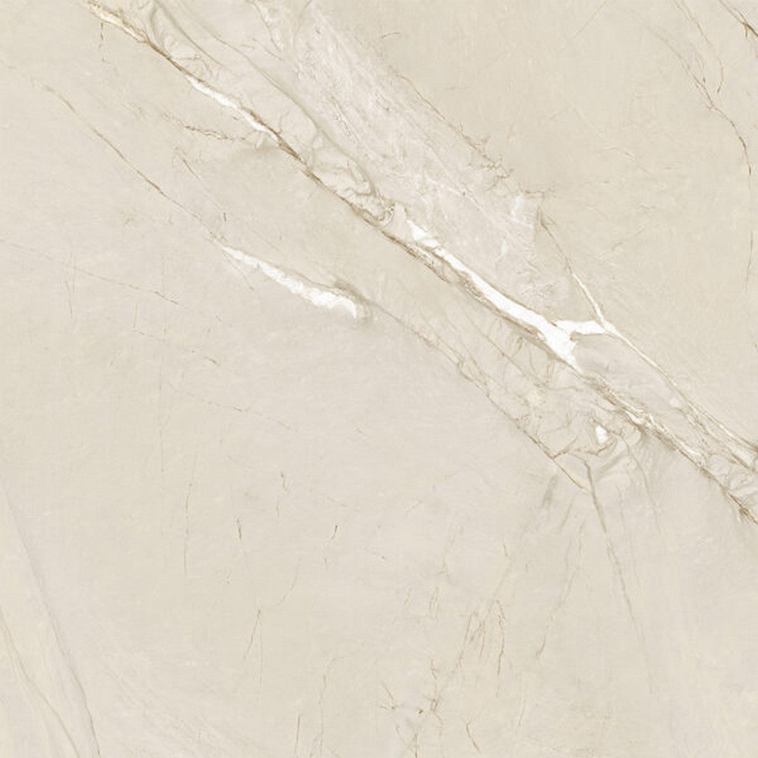 Happy Floors Cardosia 24" x 24" Rectified Natural Porcelain Tile