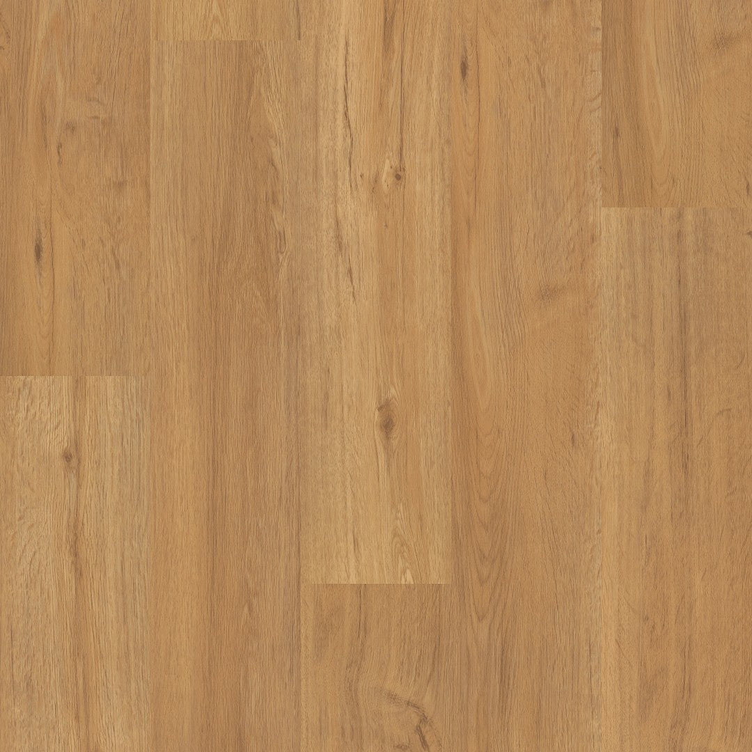 Shaw World's Fair 6 II 6" x 48" Luxury Vinyl Plank 6 mil