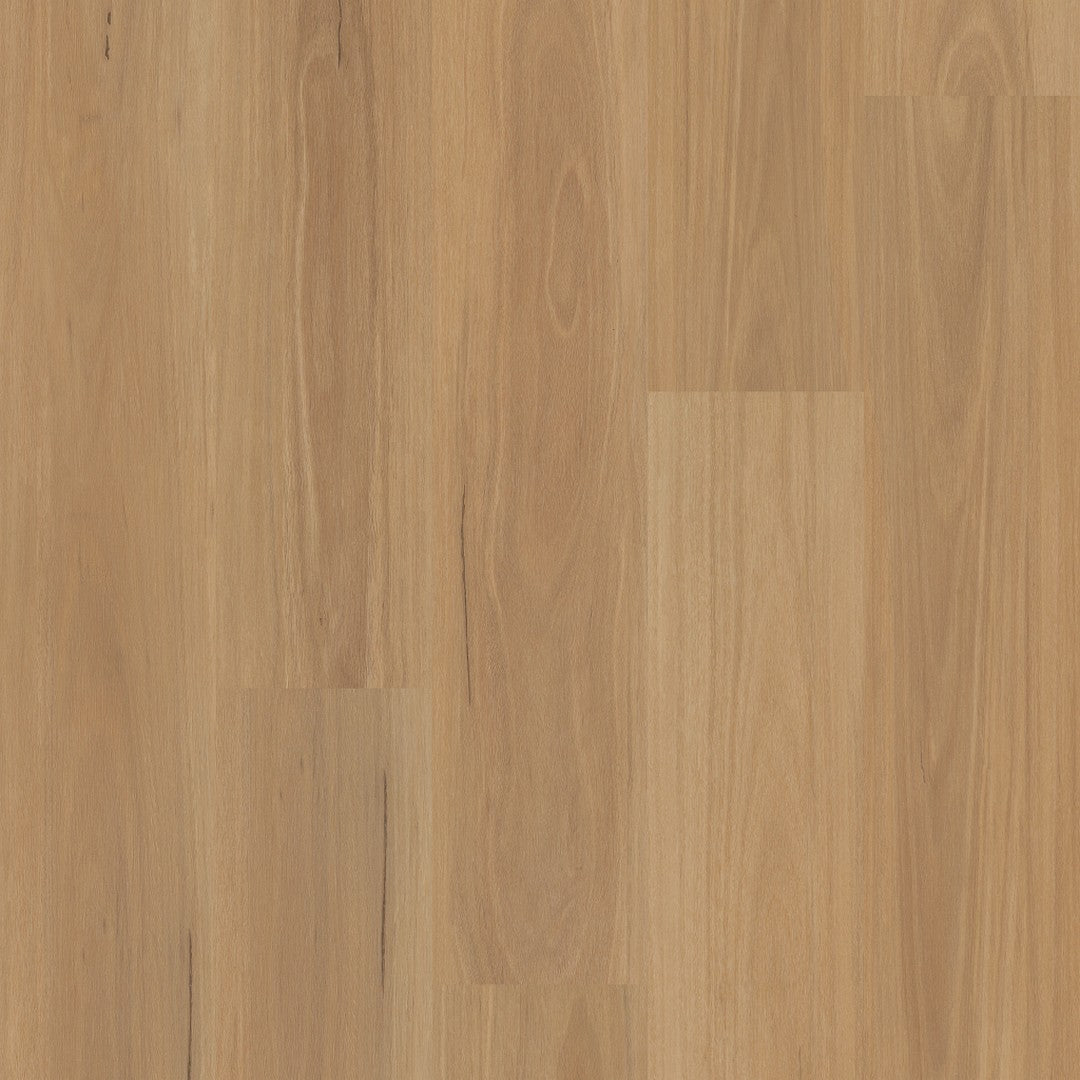 Shaw Distinction Plus 7" x 48" WPC Vinyl Plank 12 mil