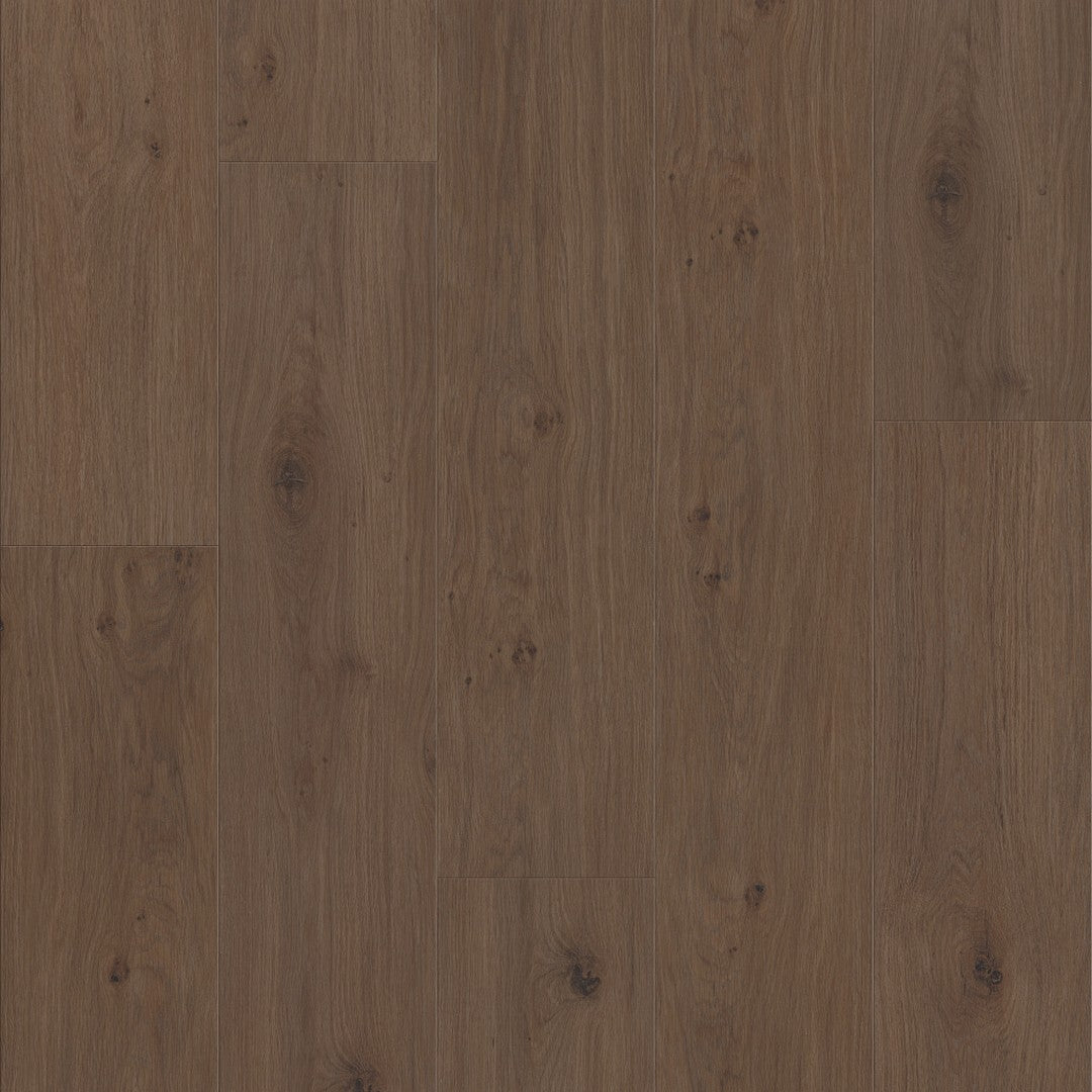 Shaw Fresh Take 9" x 59" SPC Vinyl Plank 20 mil