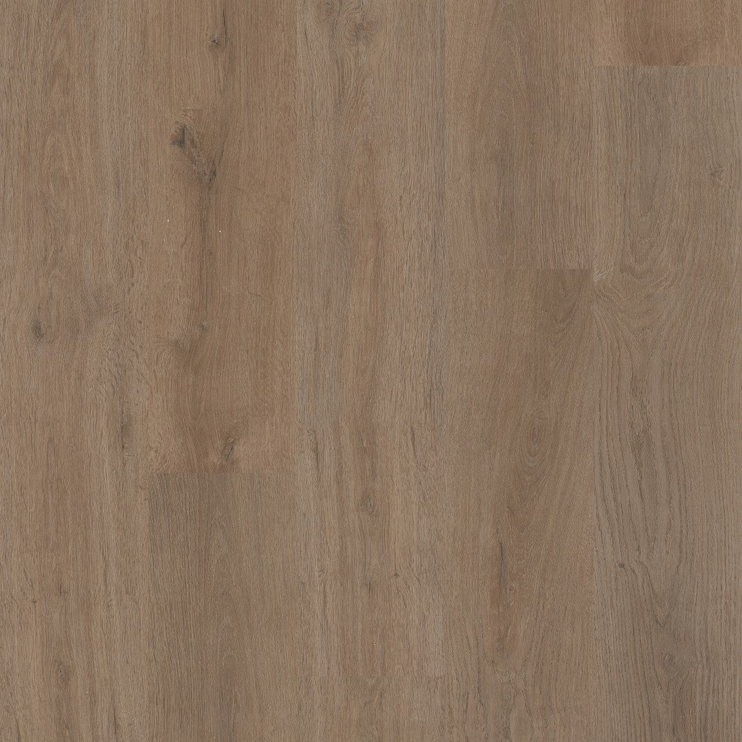 Shaw Distinction Plus 7" x 48" WPC Vinyl Plank 12 mil