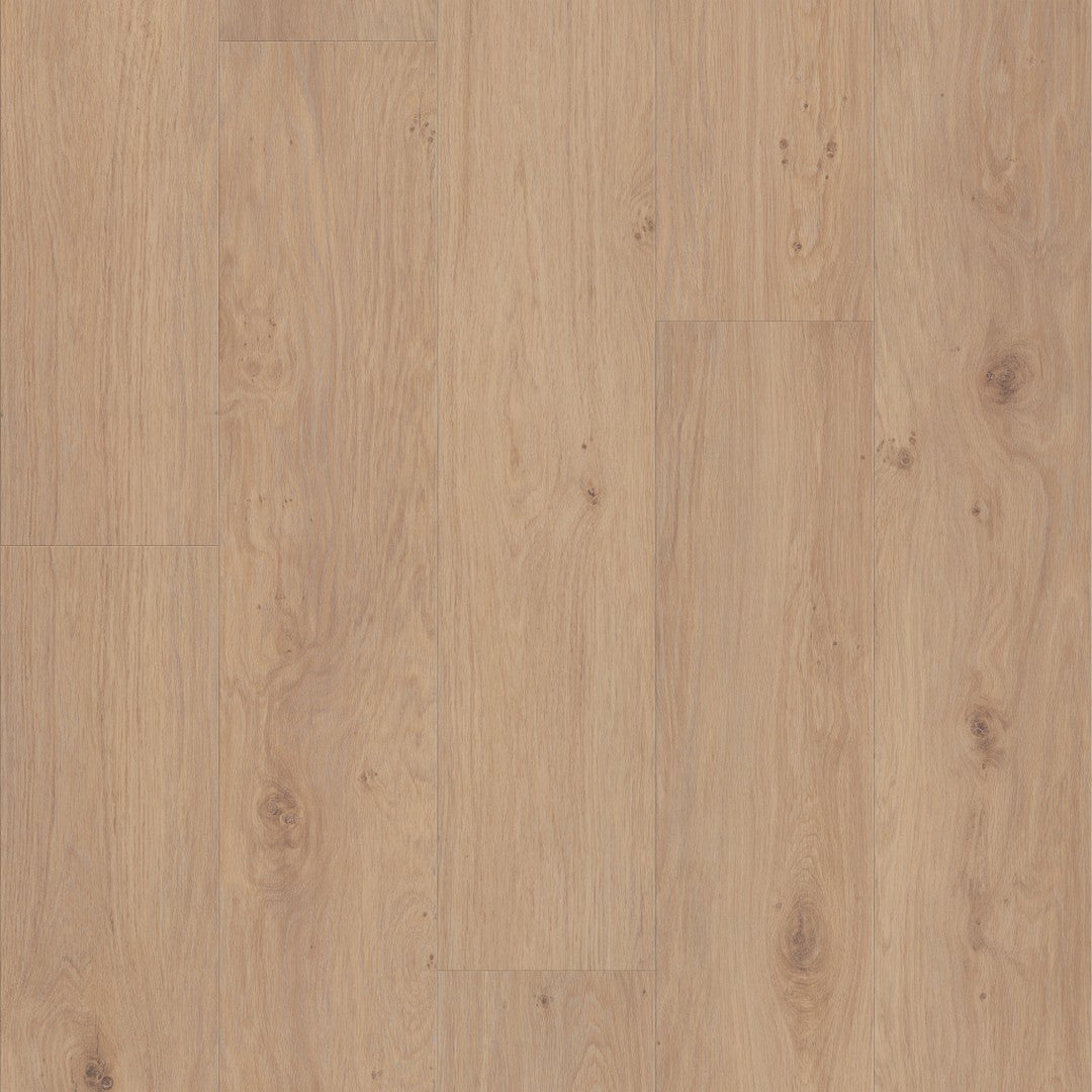 Shaw Fresh Take 9" x 59" SPC Vinyl Plank 20 mil