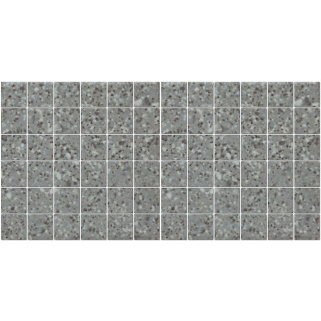 American Olean Unglazed 12" x 24" Abrasive Porcelain 2" Mosaic
