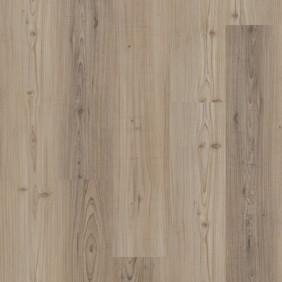 Shaw Distinction Plus 7" x 48" WPC Vinyl Plank 12 mil