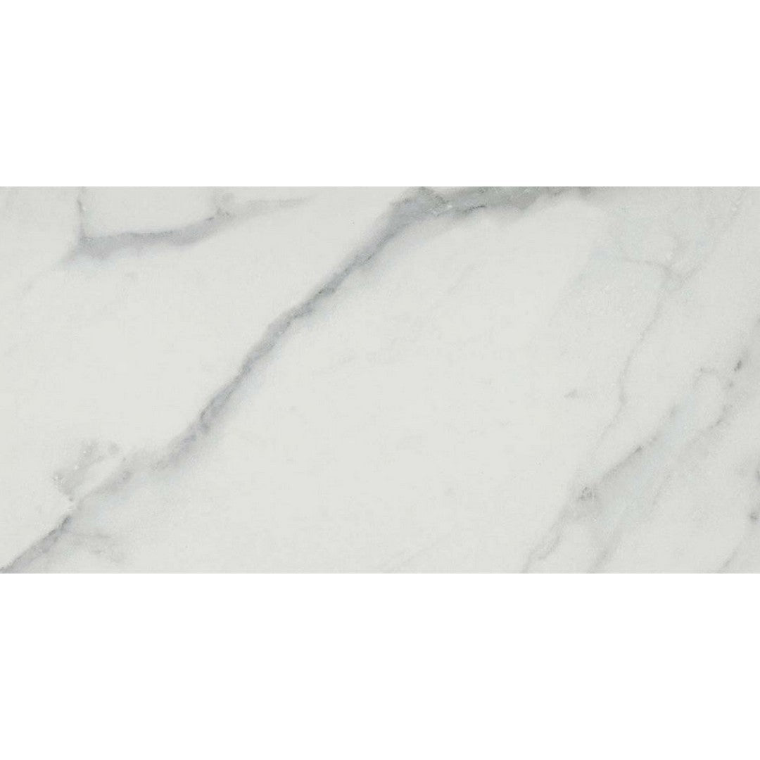 Emser Parkview 12" x 24" Rectified Polished Porcelain Tile