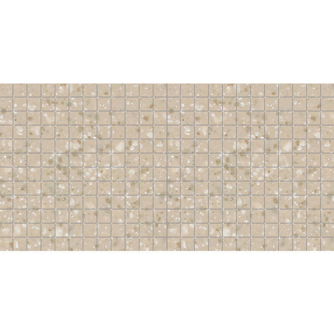 American Olean Unglazed 12" x 24" Abrasive Porcelain 1" Mosaic