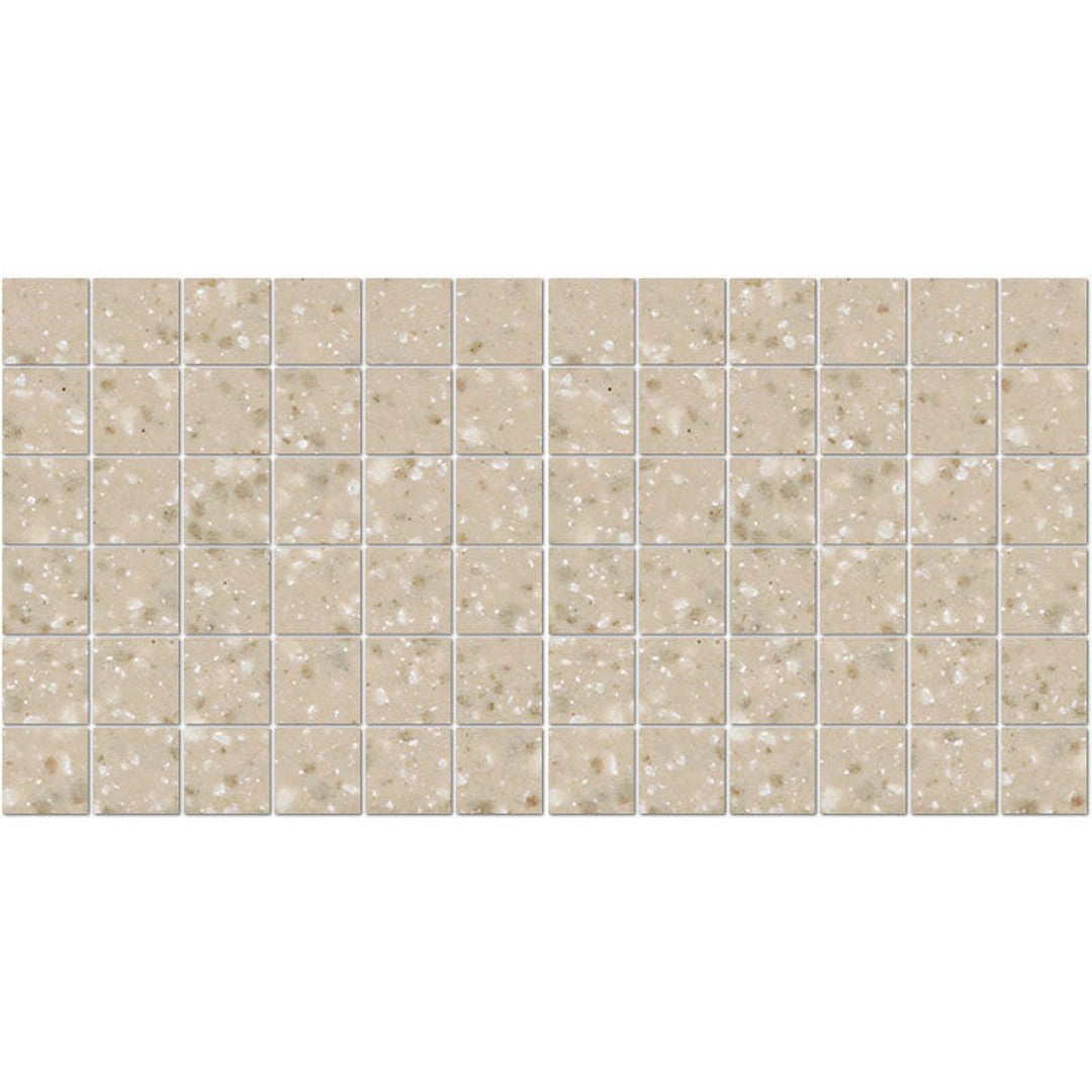 American Olean Unglazed 12" x 24" Unglazed Porcelain 2" Mosaic
