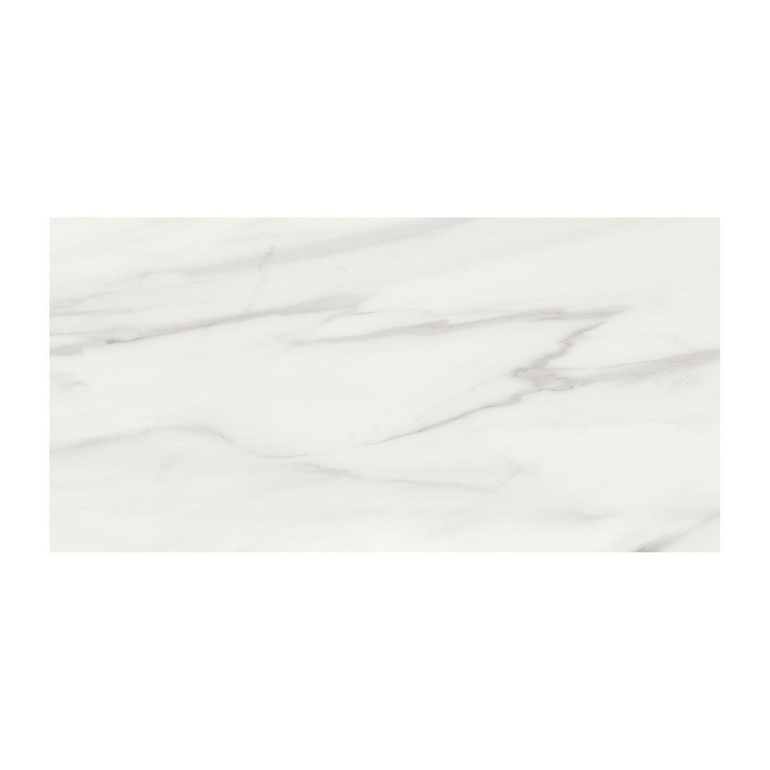 Anatolia Mayfair 12" x 24" Rectified Matte Porcelain Tile