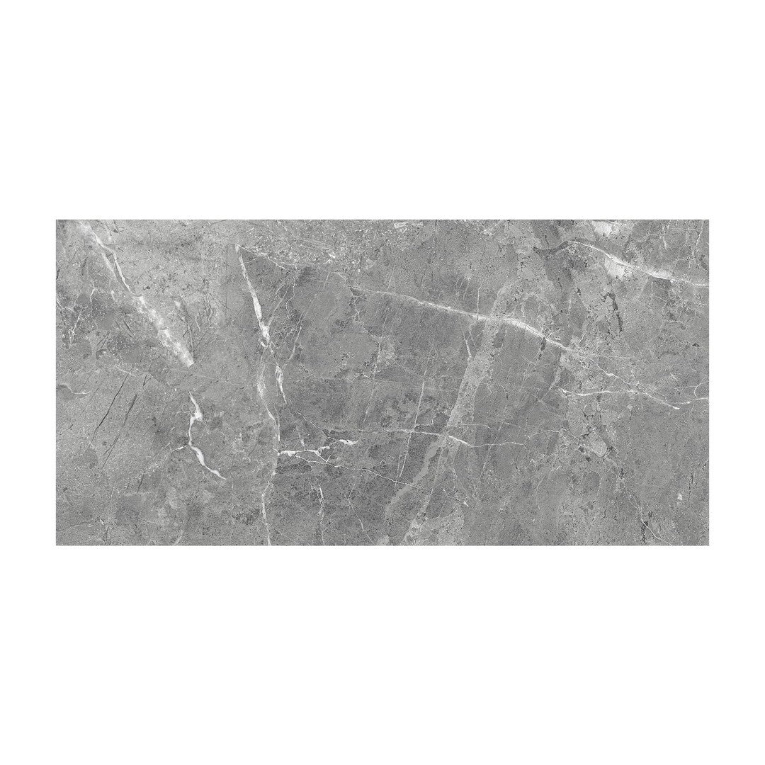 Anatolia Regency 12" x 24" Pressed Matte Porcelain Tile