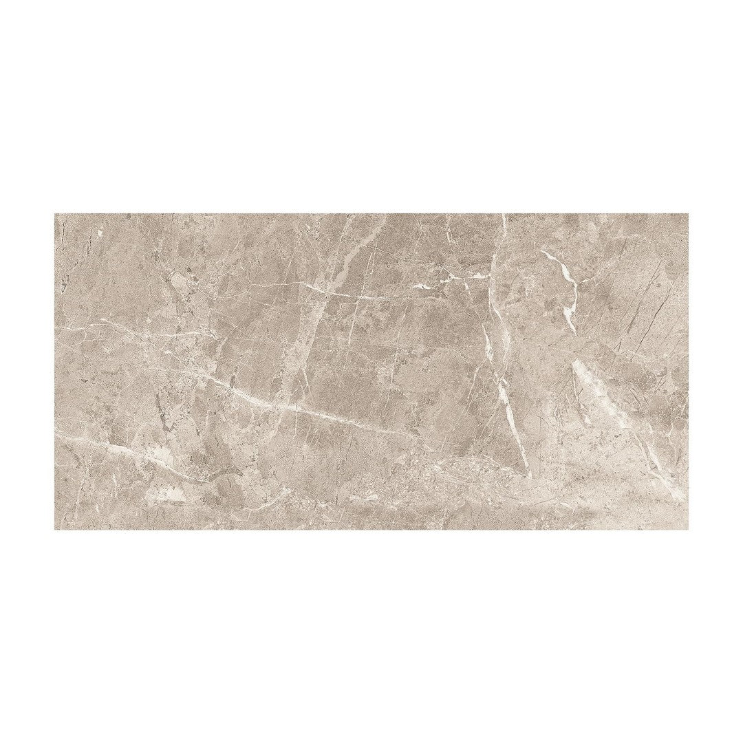 Anatolia Regency 12" x 24" Pressed Matte Porcelain Tile
