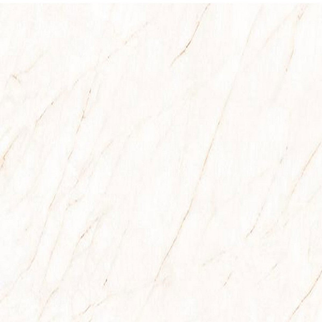 Tesoro La Dolce Vita 24" x 24" Rectified Matte Porcelain Tile