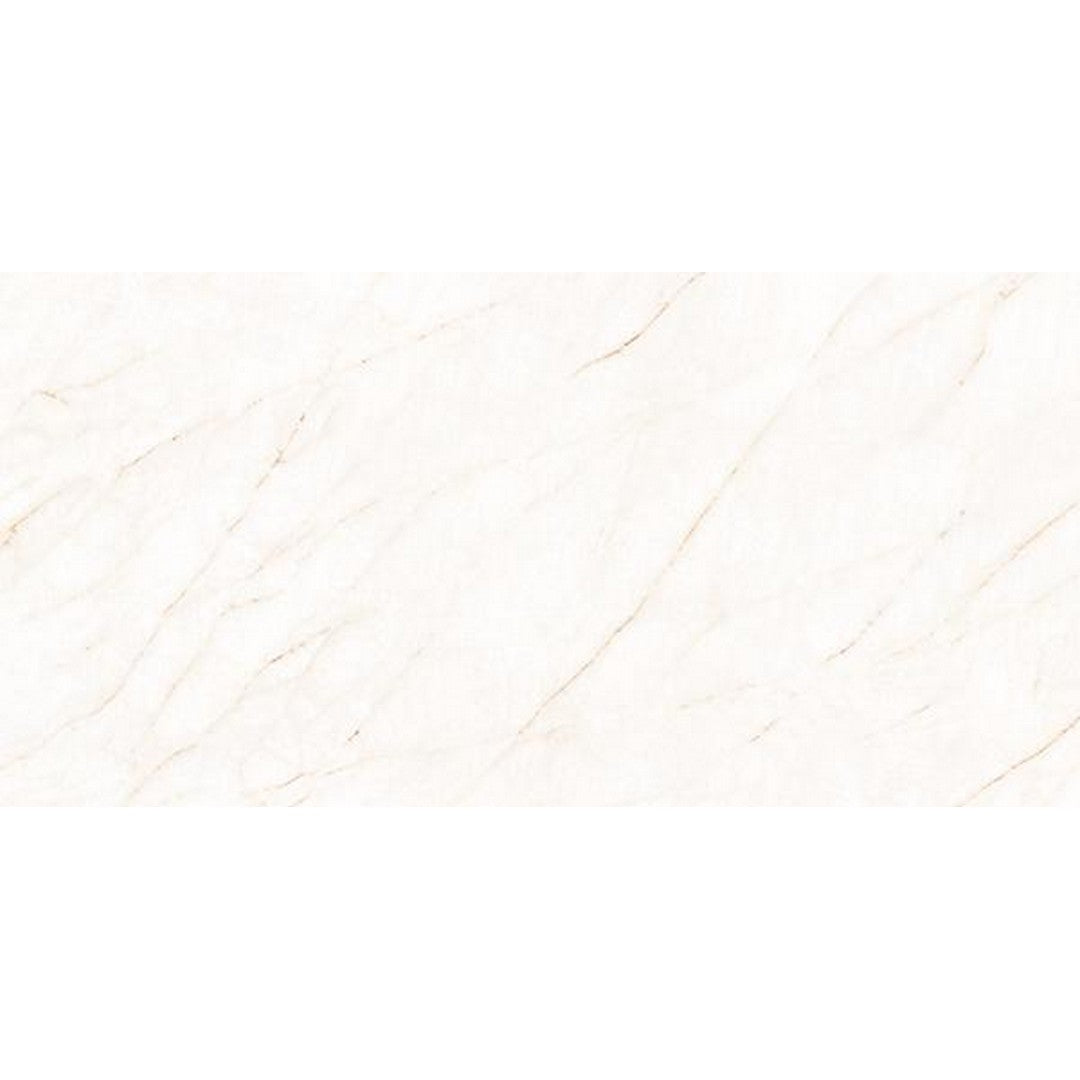 Tesoro La Dolce Vita 24" x 48" Rectified Matte Porcelain Tile