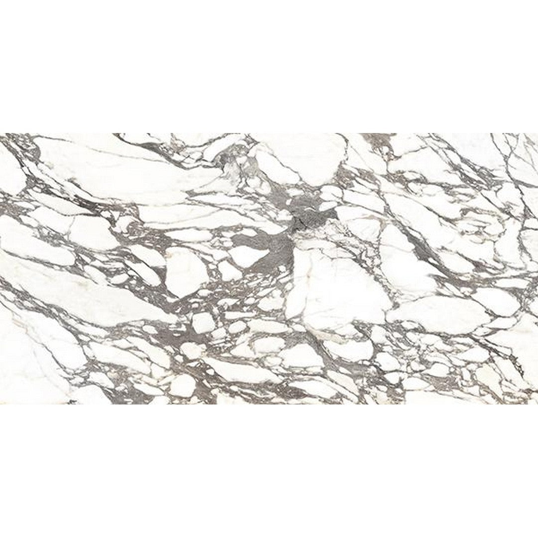 Tesoro La Dolce Vita 24" x 48" Rectified Matte Porcelain Tile