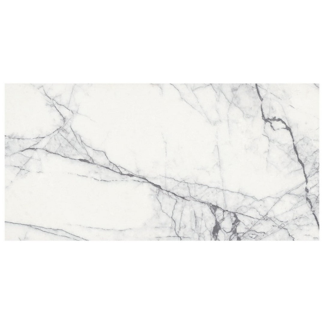 Anatolia Natural Stone 18" x 36" Honed Marble Tile