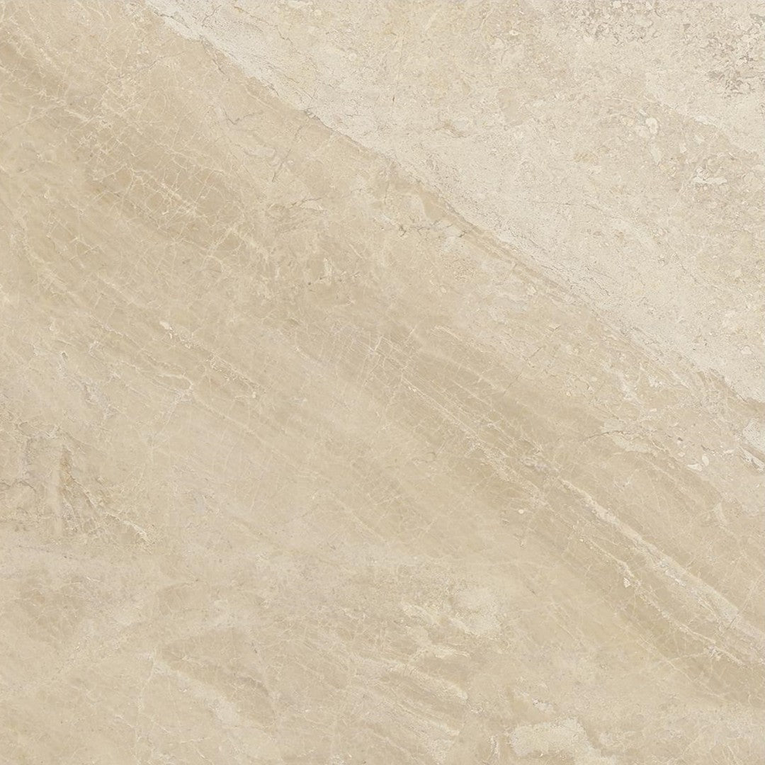 Anatolia Natural Stone 24" x 24" Honed Marble Tile