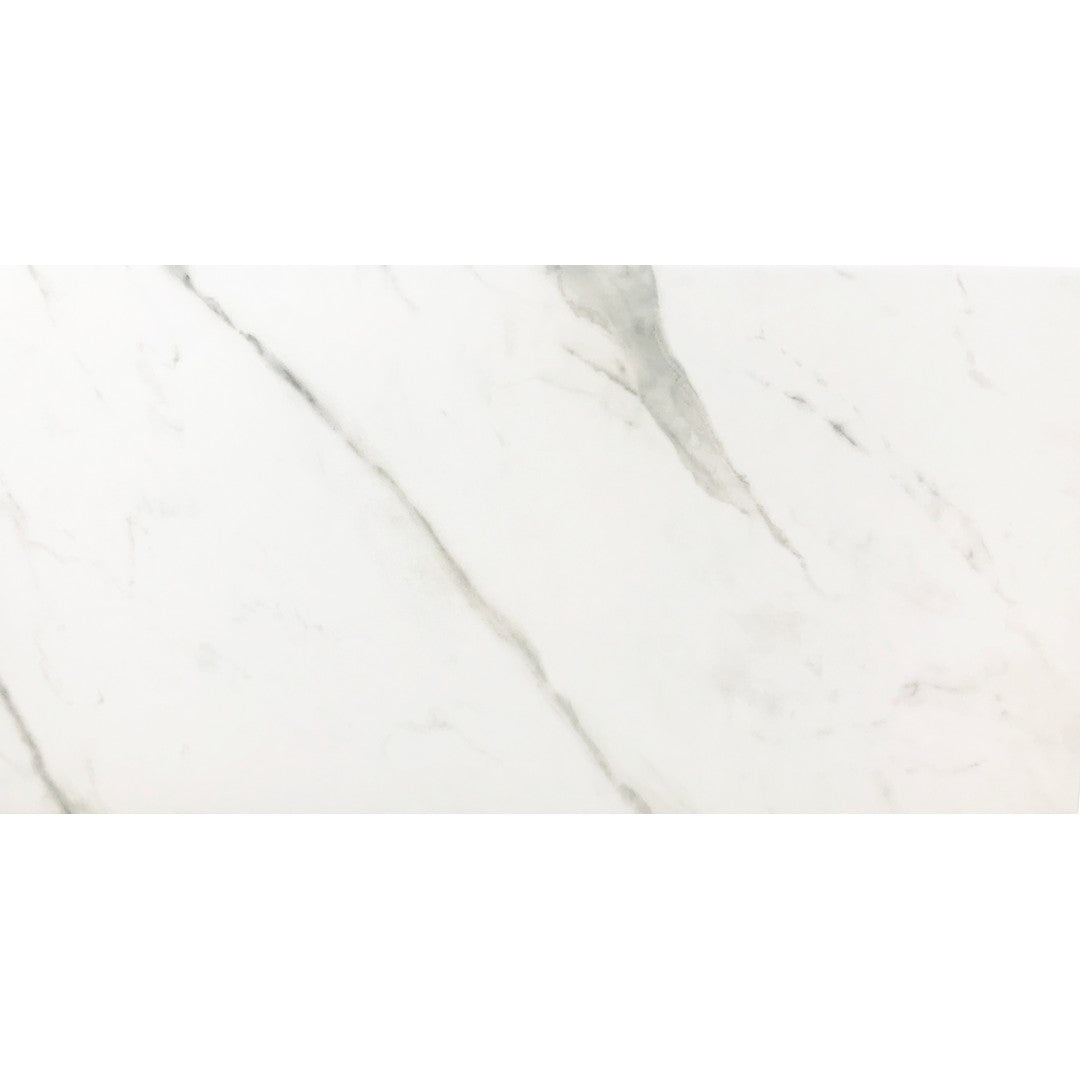 Tesoro Altezza 12" x 24" Matte Porcelain Tile