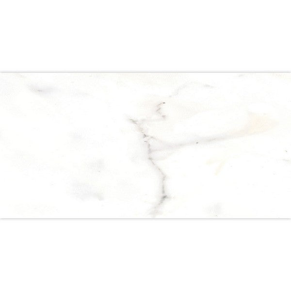 Tesoro Classic 12" x 24" Pressed Matte Porcelain Tile