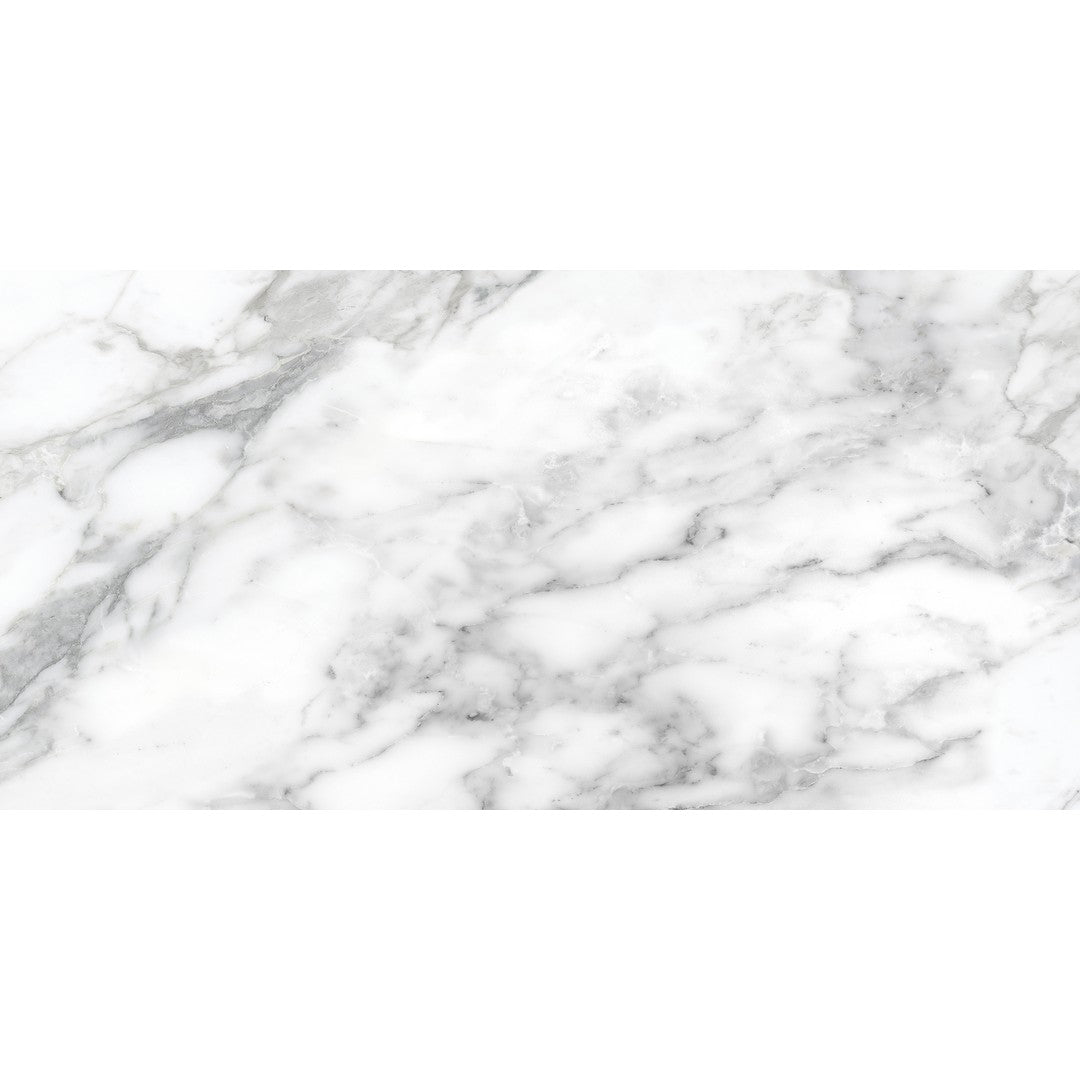 Tesoro La Marca 24" x 48" Rectified Polished Porcelain Tile