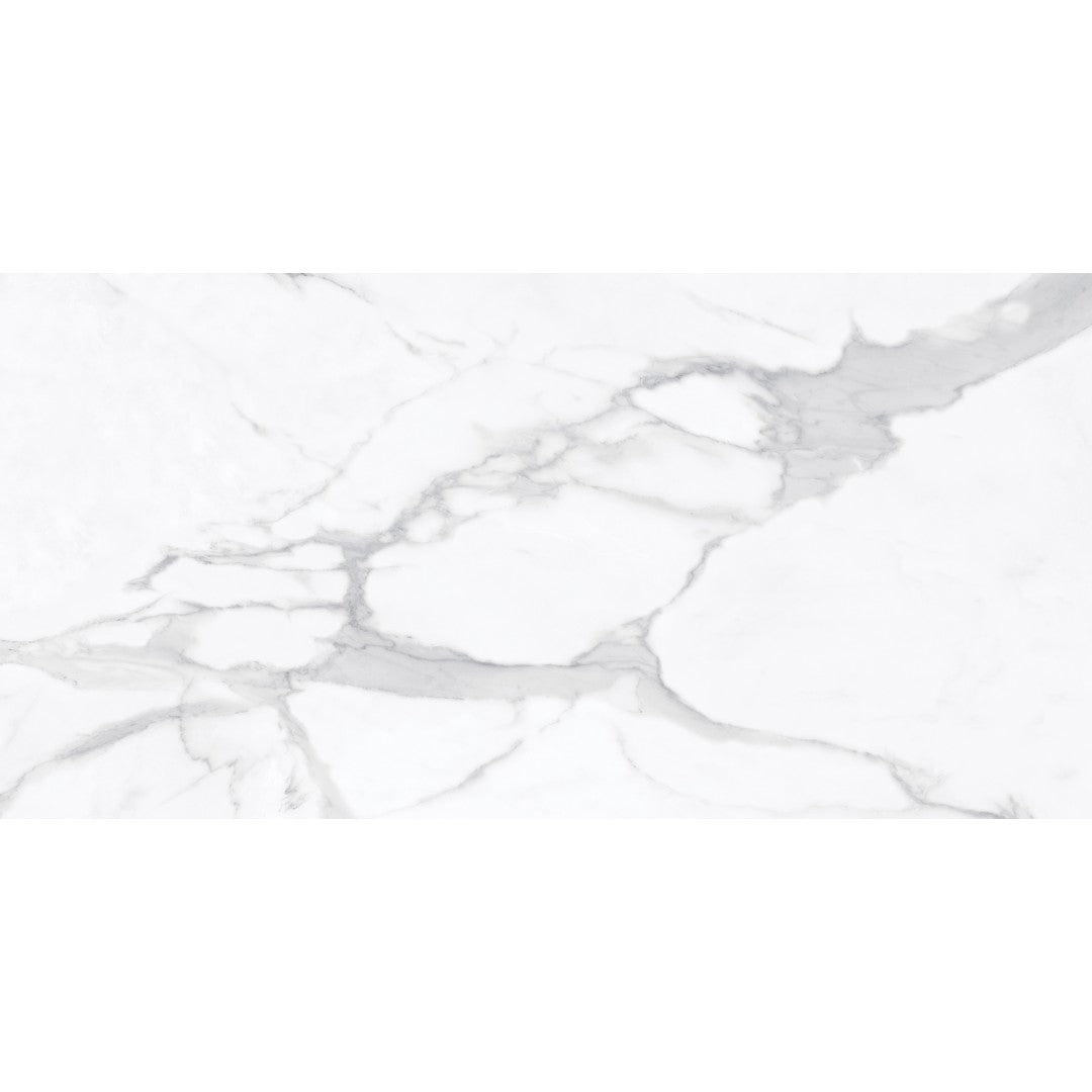 Tesoro La Marca 24" x 48" Rectified Polished Porcelain Tile