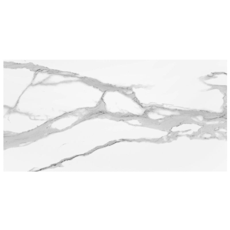 Anthology Marbleridge Reserve 24" x 48" Polished Rectangular Polished Tile