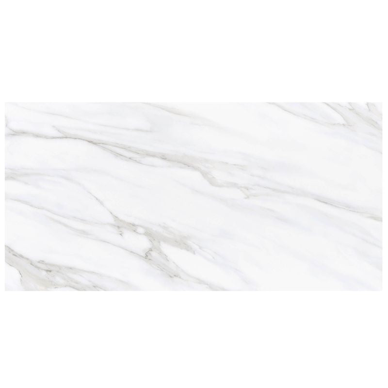 Anthology Marbleridge Reserve 24" x 48" Polished Rectangular Polished Tile