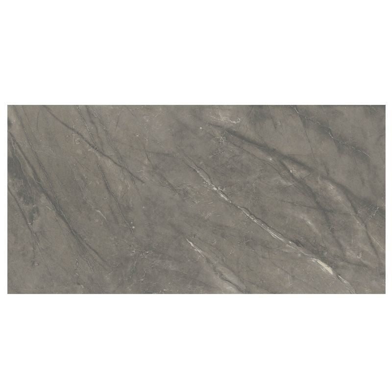 Anthology Marbleridge Reserve 12" x 24" Matte Rectangular Matte Tile