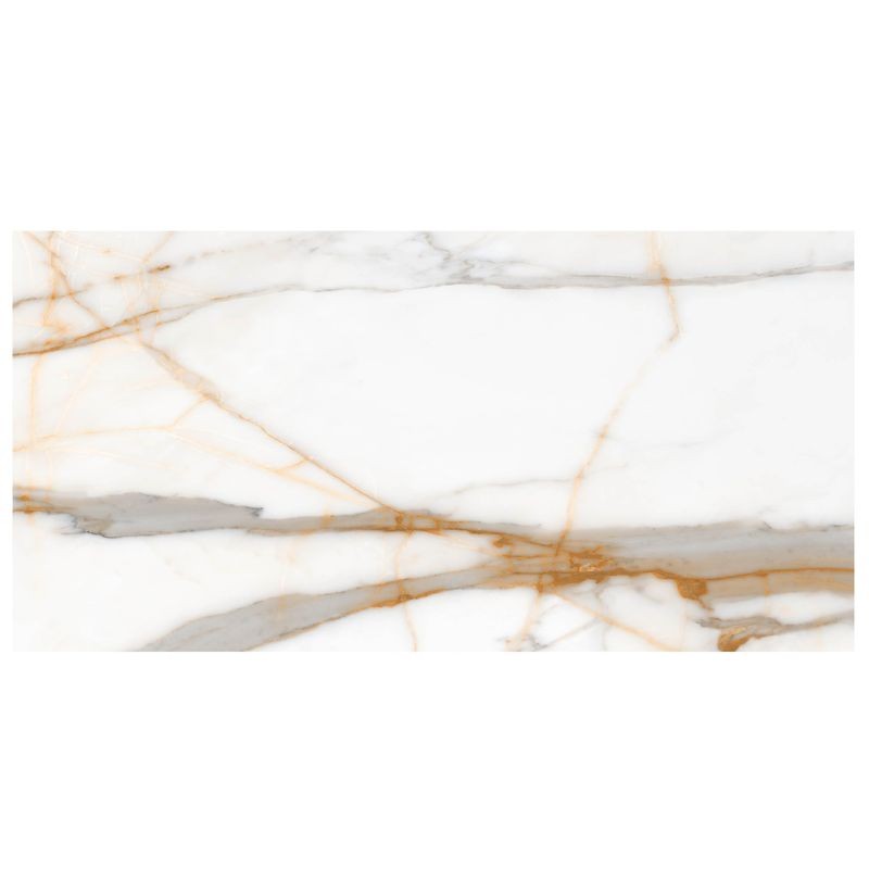 Anthology Marbleridge Reserve 24" x 48" Polished Rectangular Polished Tile