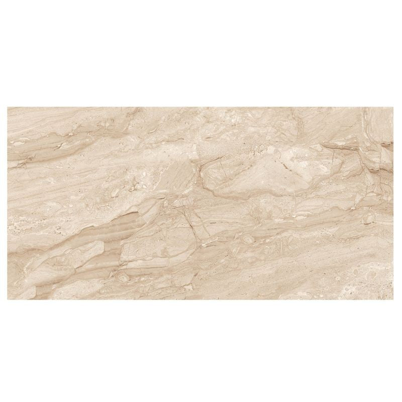 Anthology Marbleridge Reserve 24" x 48" Polished Rectangular Polished Tile