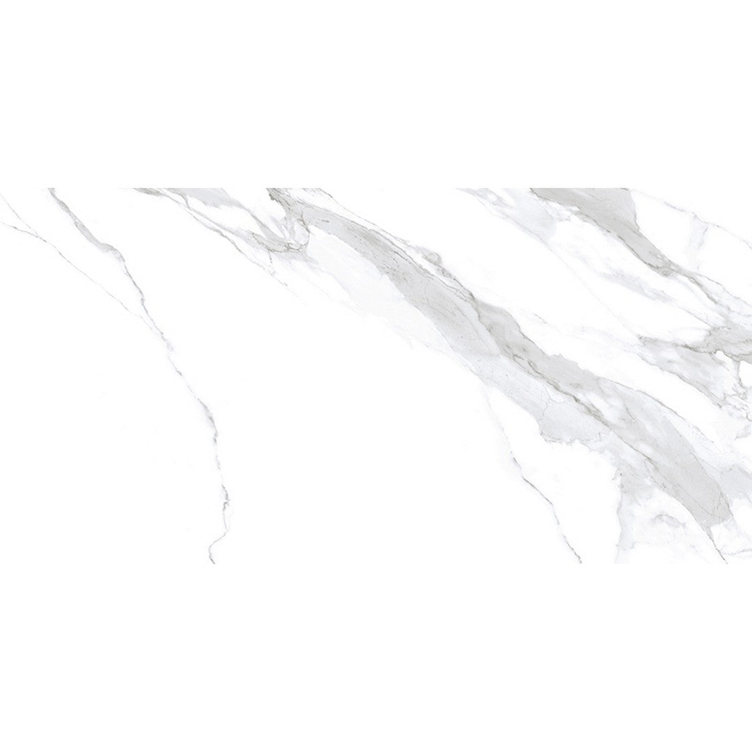 MiR Arya 23.6" x 47.2" Rectified Polished Porcelain Tile