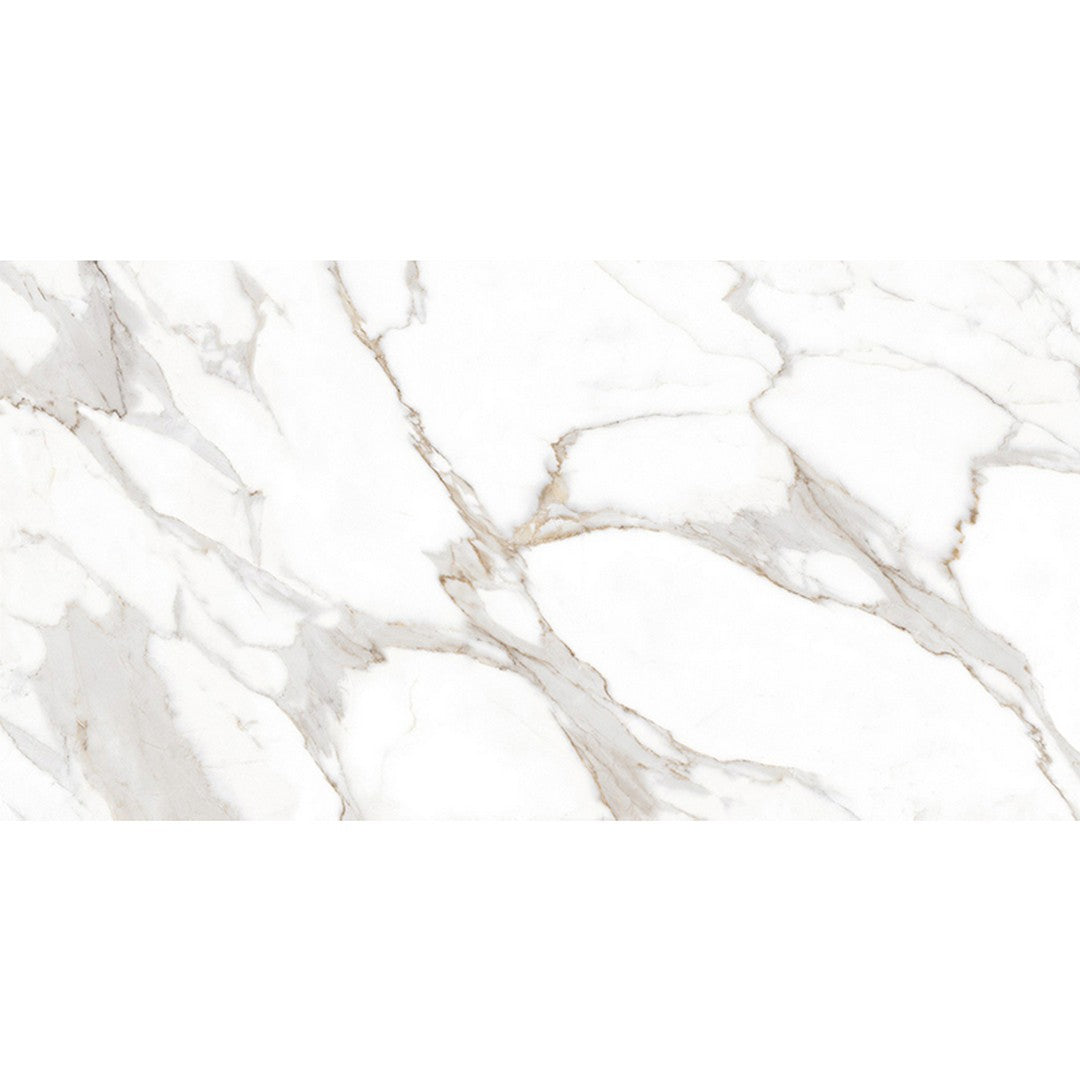 MiR Arya 23.6" x 47.2" Rectified Polished Porcelain Tile