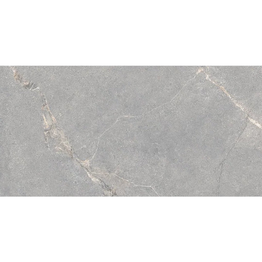 Arizona Anthea Series 24" x 48" Matte Rectified Porcelain Tile