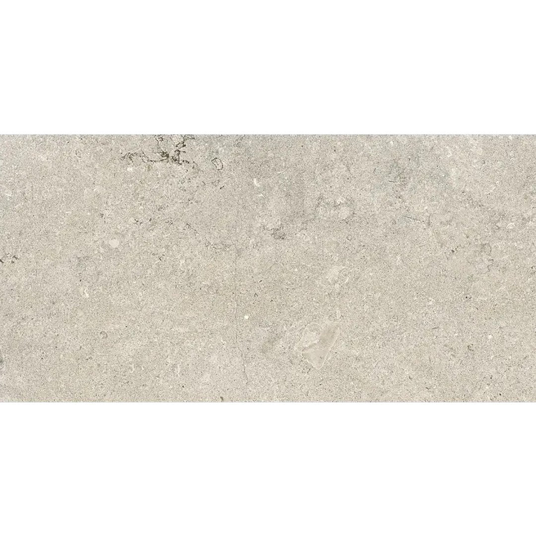 Arizona Borgo 12" x 24" Matte Rectified Porcelain Tile
