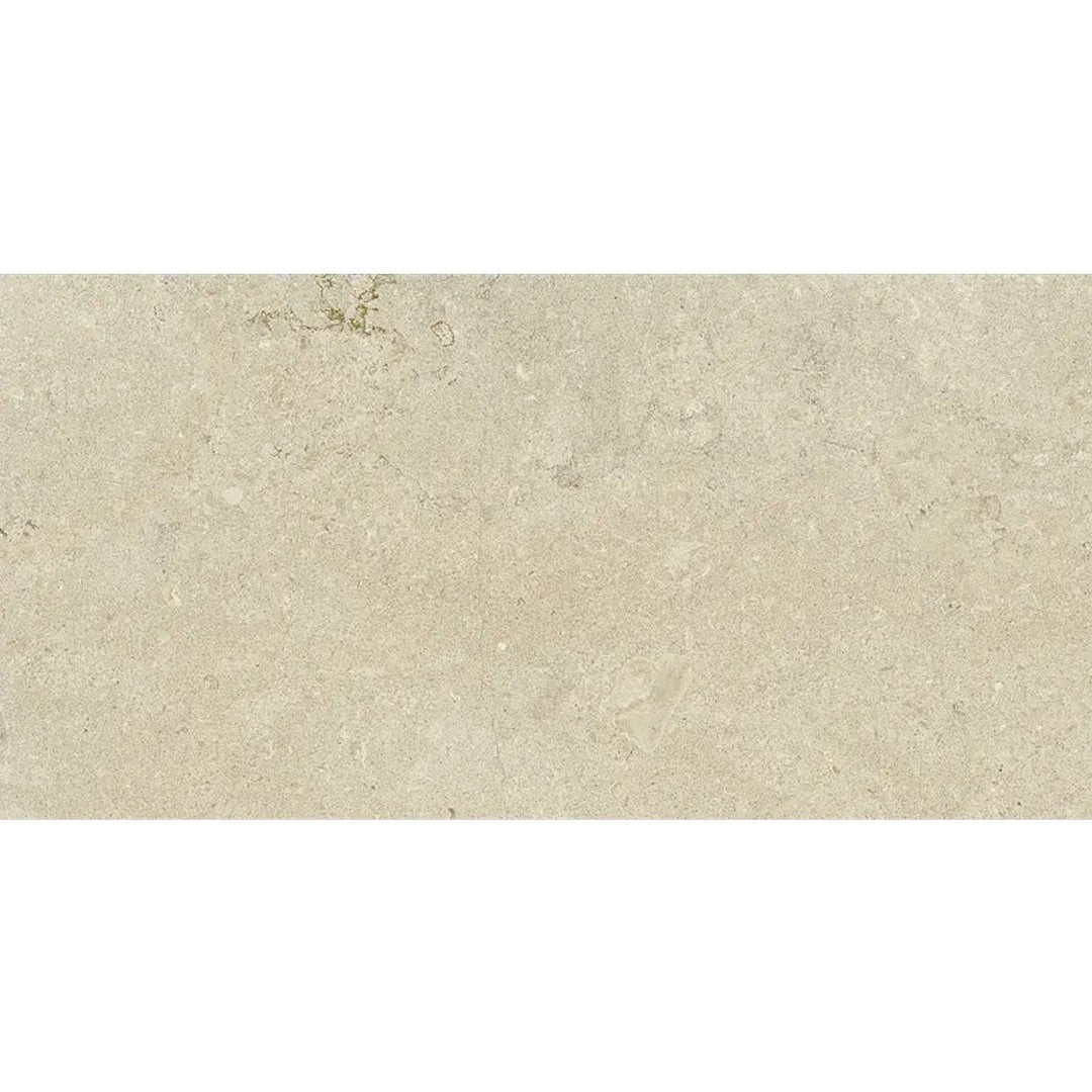 Arizona Borgo 12" x 24" Matte Rectified Porcelain Tile