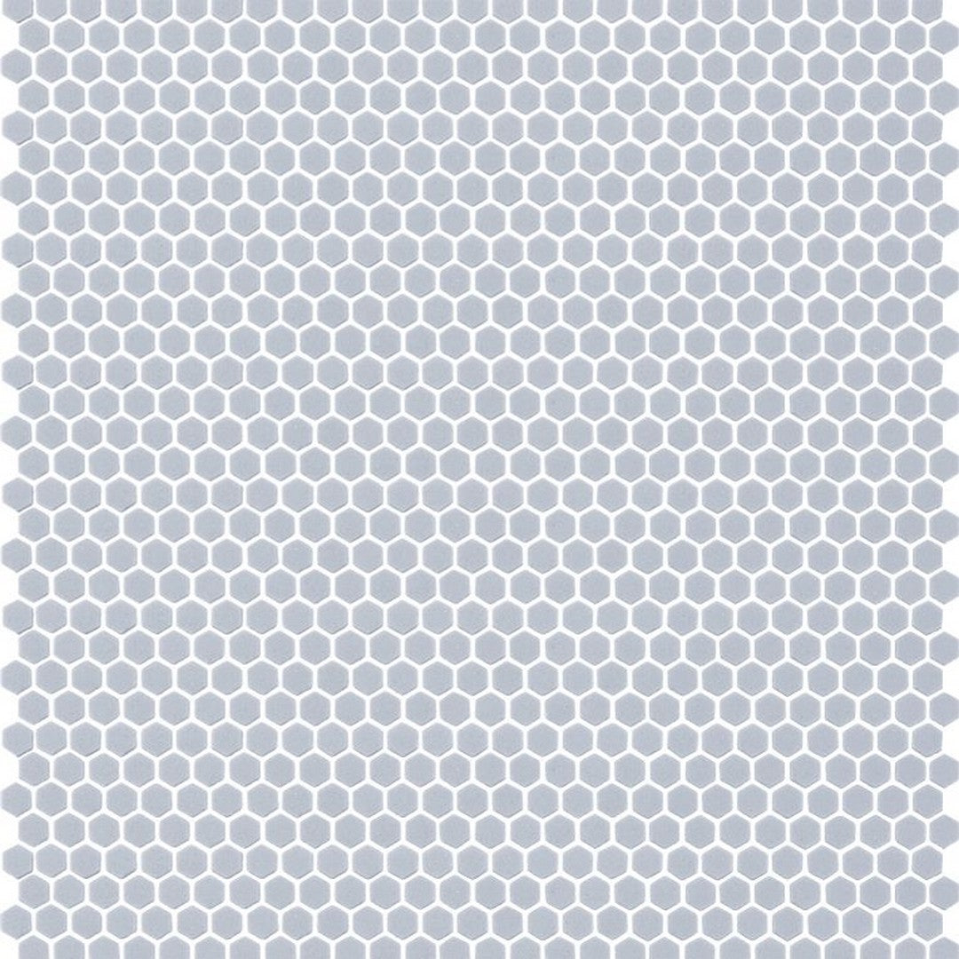 Arizona Geometro 2.0 12" x 12" Matte Rectified Glass Hexagon Mosaic