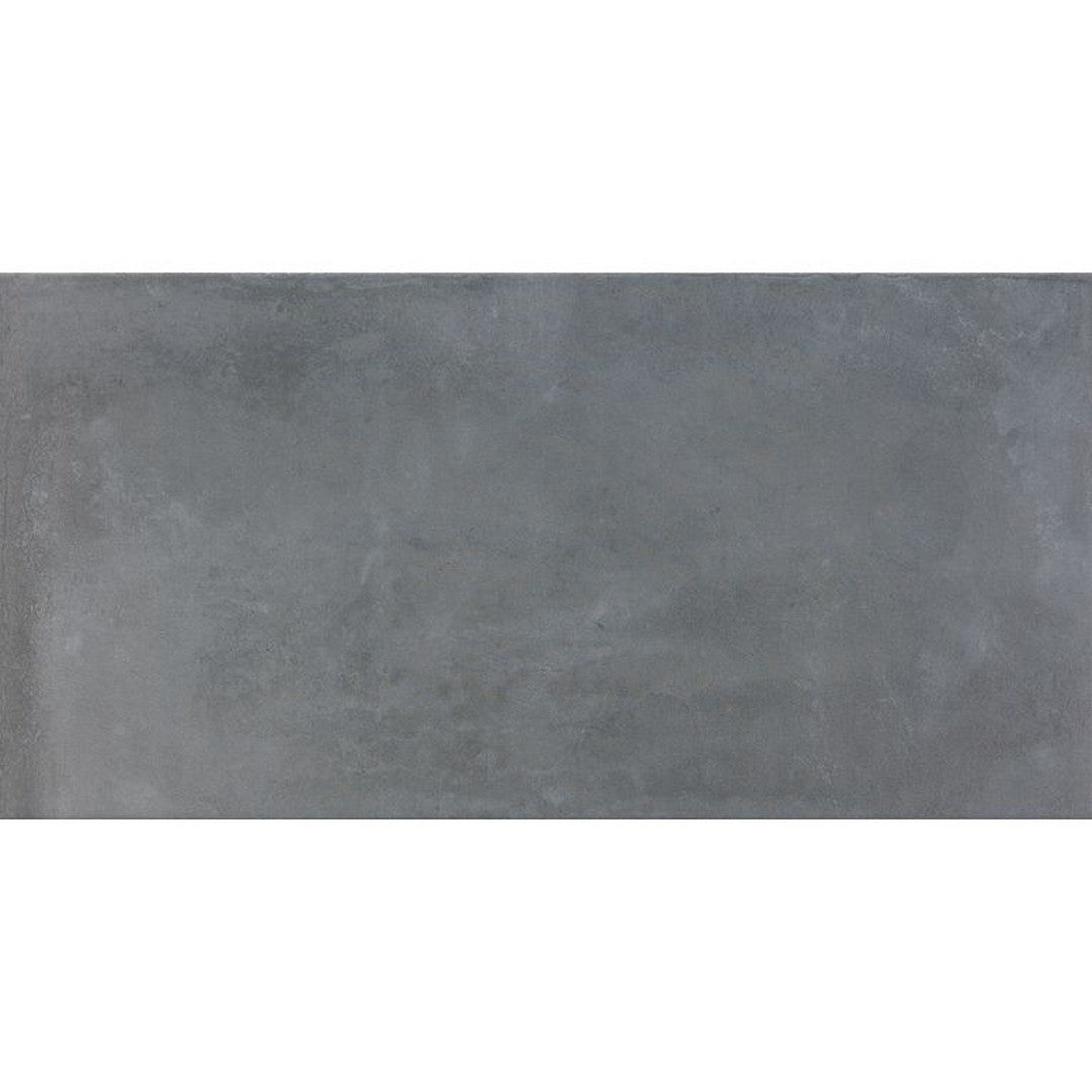 Arizona Icon 12" x 24" Matte Porcelain Tile 9mm