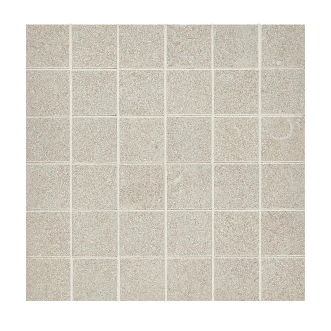 Arizona Intense 12" x 12" Porcelain 2" Mosaic