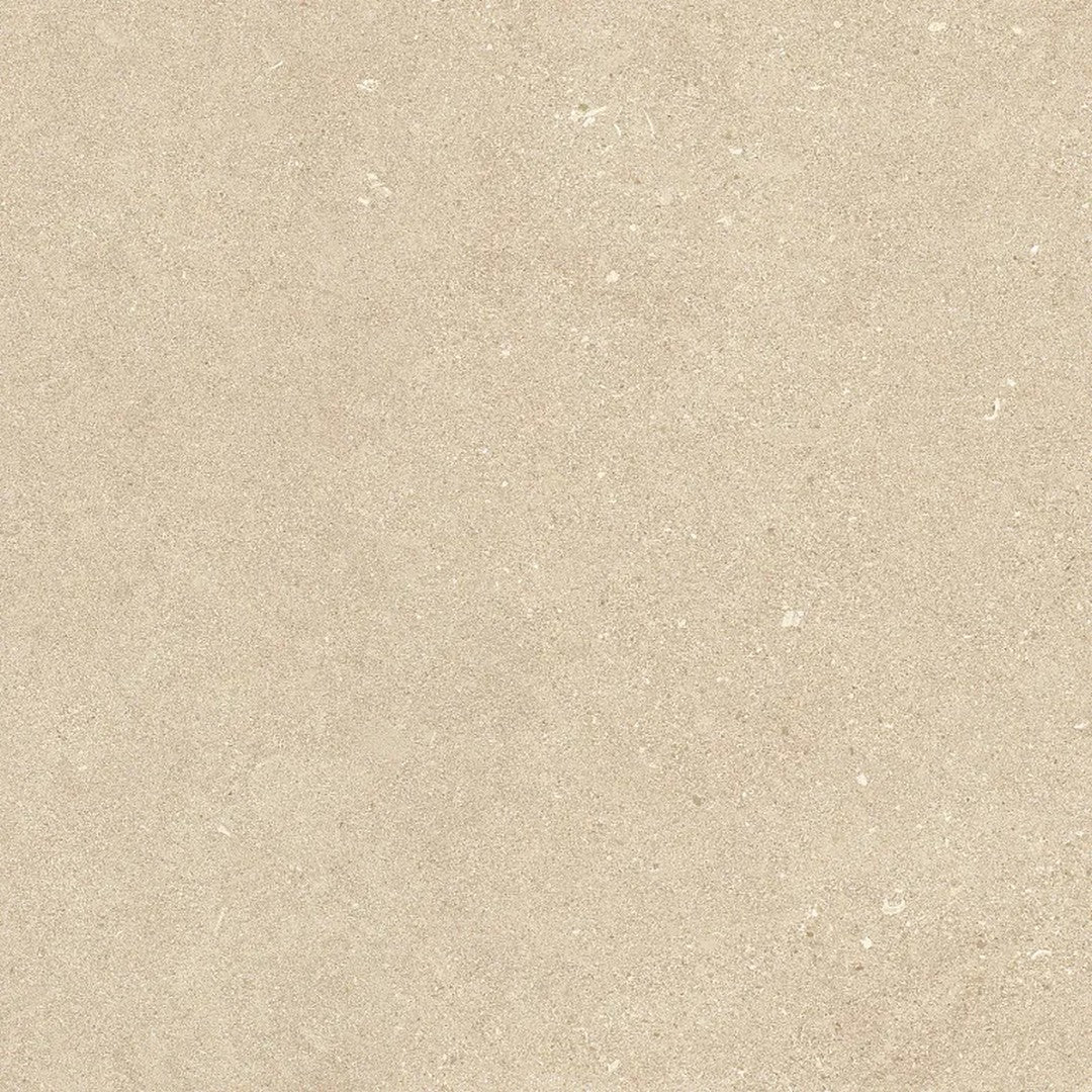 Arizona Intense 24" x 24" Matte Rectified Porcelain Tile